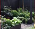 Garten Hanglage Gestaltung Bilder Genial Terrasse Am Hang — Temobardz Home Blog