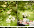 Garten Hochzeit Das Beste Von Gartenhochzeit Inspirationsshooting Von Eppel Fotografie
