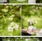Garten Hochzeit Das Beste Von Gartenhochzeit Inspirationsshooting Von Eppel Fotografie