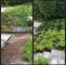Garten Holz Einzigartig Gartengestaltung Mit Holz Und Stein — Temobardz Home Blog