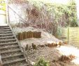 Garten Holzbank Das Beste Von 41 Von Terrassen Sessel Ideen