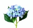 Garten Hortensie Elegant Kunstblume Hortensie Mit Blau Violetter Blüte  15cm Wasserfesten Stiel Länge 50cm