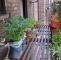 Garten Katzensicher Machen Reizend Kein Balkon Alternative — Temobardz Home Blog