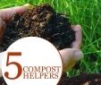 Garten Komposter Reizend Komposthelfer Bessere Komposterde