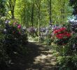Garten König Wiefelstede Neu Mit Liebe Zum Detail Gartenträume In Wiefelstede