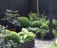 Garten Landschaftsbau Ausbildung Das Beste Von Japanische Badewanne Kaufen — Temobardz Home Blog
