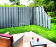 Garten Lounge Günstig Inspirierend Grüner Sichtschutz Im Garten — Temobardz Home Blog
