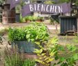 Garten Magazin Neu Blümchen Und Bienchen Set
