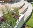Garten Mediterran Inspirierend Mittelgroße Gartengestaltung In Wandsworth 2
