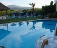 Garten Mit Pool Das Beste Von Evelin Hotel Apartments Pool Fotos Und Bewertungen