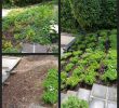 Garten Mit Steinen Anlegen Luxus Gartengestaltung Ideen Mit Steinen — Temobardz Home Blog