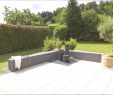 Garten Modern Schön Sichtschutz Zum Bepflanzen — Temobardz Home Blog