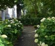 Garten Moorriem Elegant Halb Schattiger Vorgarten In Hamburg Winterhude