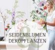 Garten Moorriem Reizend Seidenblumen & Dekopflanzen — Löschau Raumbegrünung & Ambiente