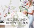 Garten Moorriem Reizend Seidenblumen & Dekopflanzen — Löschau Raumbegrünung & Ambiente