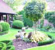 Garten Oase Elegant Kleinen Vorgarten Gestalten — Temobardz Home Blog