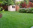 Garten Ohne Rasen Alternativen Zum Rasen Luxus Lawn Starter