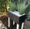 Garten Outlet Elegant Sichtschutz Aus Pflanzen — Temobardz Home Blog