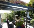 Garten Pergola Luxus sonnenschutz Garten Terrasse — Temobardz Home Blog
