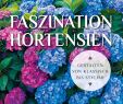 Garten Pflegeleicht Schön Faszination Hortensien