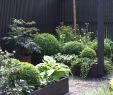 Garten Planen Beispiele Reizend Garten Gestalten Ideen — Temobardz Home Blog