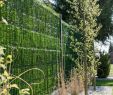 Garten Planen Frisch Zaunblende Hellgrün "greenfences" Balkonblende Für 180cm