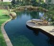 Garten Pool Ideen Frisch Schwimmteiche