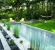Garten Pool Ideen Luxus Moderne Gartengestaltung Teich Gartenpflanzen ähnliche tolle