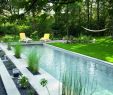 Garten Pool Ideen Luxus Moderne Gartengestaltung Teich Gartenpflanzen ähnliche tolle