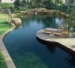 Garten Pool Selber Bauen Reizend Schwimmteiche
