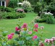 Garten Potsdam Inspirierend Garten Und Landschaftsarchitekt — Temobardz Home Blog
