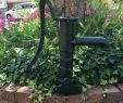 Garten Pumpe Inspirierend Schwengelpumpe Gartenpumpe Handschwengelpumpe Wasserpumpe Handpumpe Antik Stil F