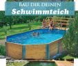 Garten Pur Genial Schwimmteich Gartenteich Springbrunnen Etc