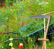 Garten Rechen Elegant Pfle Ipps Für Ihre Gartengeräte