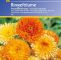 Garten Ringelblume Luxus Kiepenkerl Ringelblume Prachtmischung Calendula Officinalis