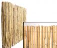 Garten Sichtschutz Bambus Luxus Sichtschutz Berg Bambusmatte "kawei" 200 X 300cm