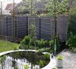 Garten Sichtschutz Bambus Reizend Pin Von Birgit Huber Auf Garten