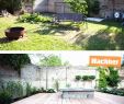 Garten Sichtschutz Selber Bauen Reizend Steinmauer Garten Bilder — Temobardz Home Blog