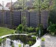 Garten Sichtschutzwand Einzigartig Pin Von Birgit Huber Auf Garten
