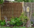 Garten Sichtschutzwand Elegant Weidenelement "helgoland" Sichtschutzwand 150 X 120cm