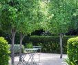 Garten Sitzecke Luxus This Adelaide Front Garden Received A Stately New Look by