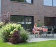 Garten Sitzecke Selber Bauen Reizend Der Perfekte Sichtschutz – Die Fünf Besten Tipps
