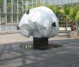 Garten Skulpturen Selber Machen Das Beste Von Datei Schmetterlingsbaum Botanischer Garten Leipzig