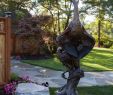 Garten Skulpturen Selber Machen Luxus Caswell Sculpture Garden