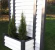 Garten Spalier Elegant Pflanzen Als Sichtschutz Terrasse — Temobardz Home Blog