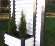 Garten Spalier Elegant Pflanzen Als Sichtschutz Terrasse — Temobardz Home Blog