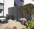 Garten Spalier Luxus Pflanzen Als Sichtschutz Terrasse — Temobardz Home Blog