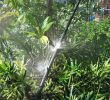 Garten Sprinkler Reizend 50 Stücke Micro Garten Rasen Wasserspray Beschlagen Düse Sprinkler Bewässerungssystem