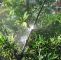 Garten Sprinkler Reizend 50 Stücke Micro Garten Rasen Wasserspray Beschlagen Düse Sprinkler Bewässerungssystem