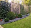 Garten Trennwand Inspirierend Garten Pflanzen Sichtschutz — Temobardz Home Blog